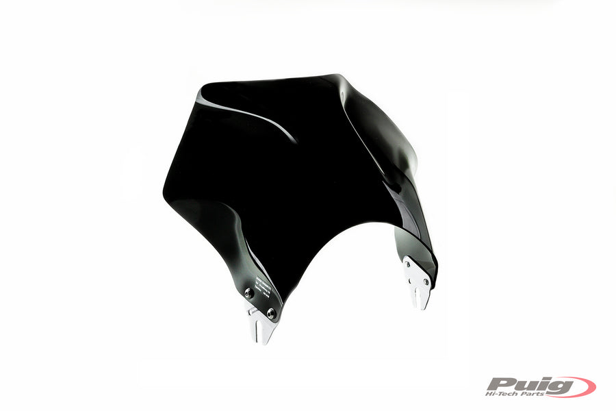 KAWASAKI W 230 [2025] – Raptor Windschild Visier – Transparent