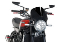 KAWASAKI Z 900 RS SE [2025] – Vision Windshield Visor – Tinted-17
