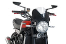 KAWASAKI Z 900 RS SE [2025] – Vision Windschild Visier – Stark getönt-5