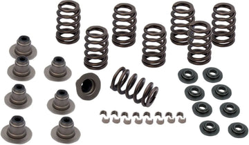 Harley-Davidson FLRT 1868 Freewheeler 114 [2025] - 0,605" Schwerlast-Ventilfederkit – Bild 1