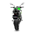 Kawasaki Z 900 [LEOVINCE] – LV Corsa S Titan Schalldämpfer-4