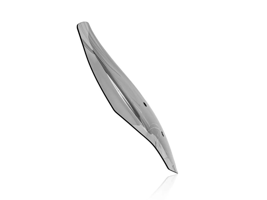 aprilia sr gt 125 [WRS] – Windschild