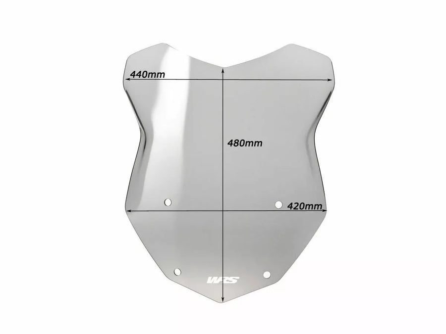 BMW R 1200 R [WRS] – Windschild