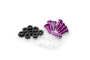 KTM RC 390 [2025] – Anodized Disc Bolt Kit – Silver-53