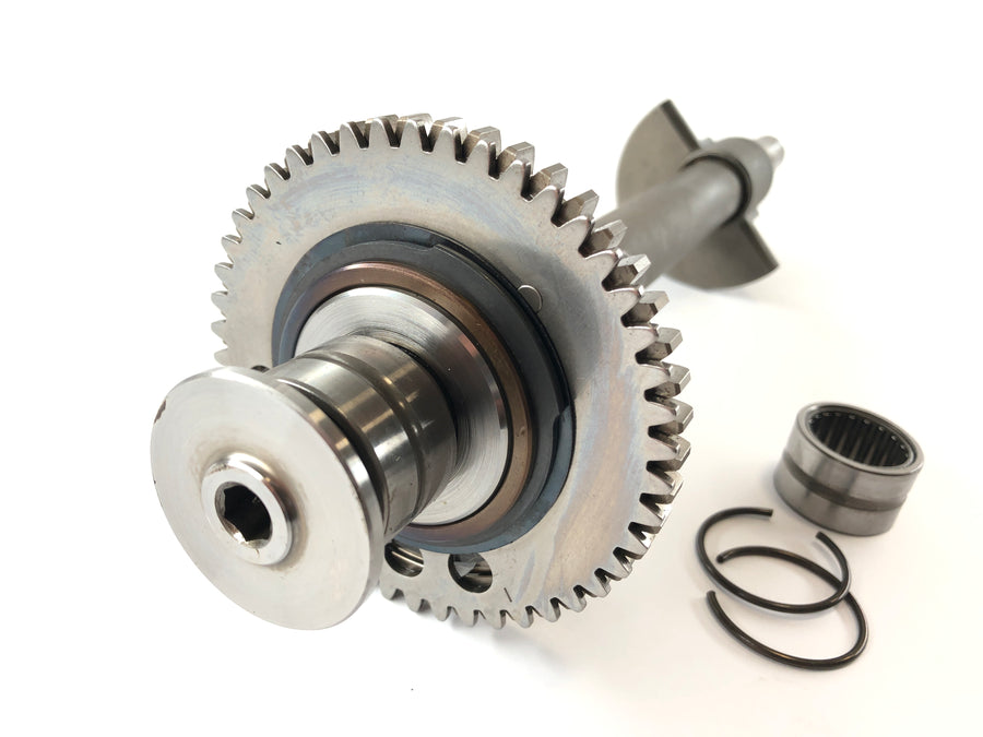 Triumph Daytona 955i T595N [2001] - balance shaft