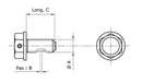 Honda XRV 750 Africa Twin RD04 [Tecnium] - magnetic drain screw-2