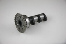 Kawasaki KFX 400 2 WD (KSF 400 A) [2003-2006] - Nockenwelle Auslass - Stage 1