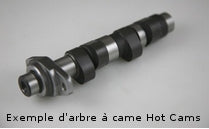 Polaris Sportsman 500 [1996-2014] - Nockenwelle - Stage 2 Polaris