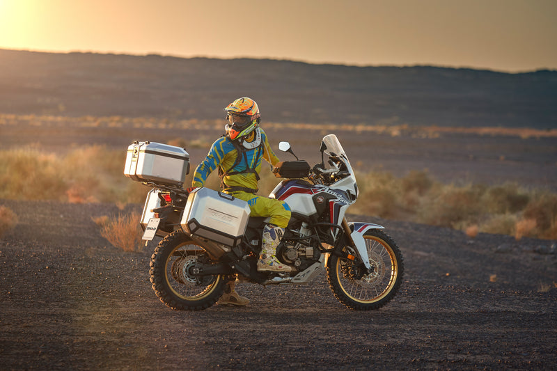 Ducati Desert X 937 [SHAD] - TR36 Terra Rechter Seitenkoffer