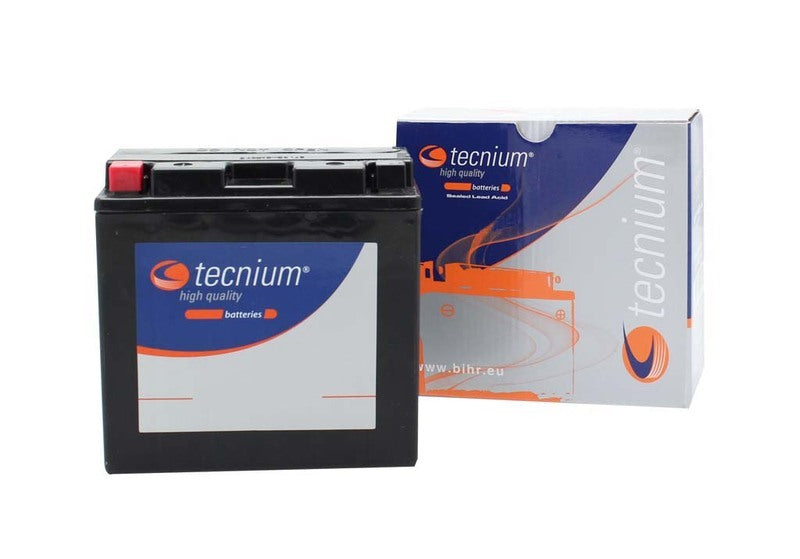 Yamaha Fzs 1000 [TECNIUM] - Maintenance Free Battery Factory Activated - BT14B-4