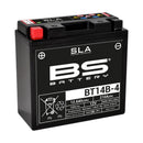 Yamaha Fzs 1000 [BS BATTERY] - SLA Maintenance Free Battery Factory Activated - BT14B-4