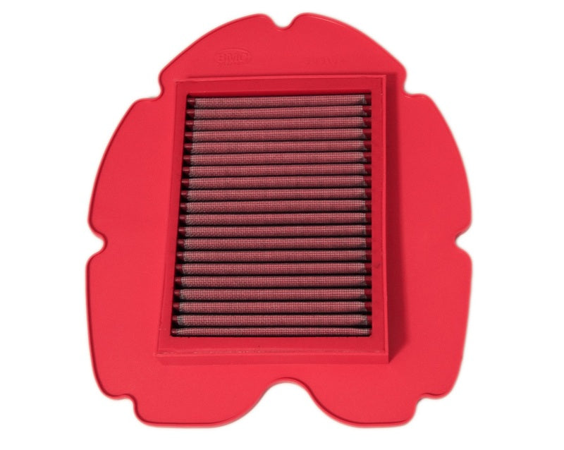 Yamaha Tdm 900 [BMC] - Air filter - FM303/04