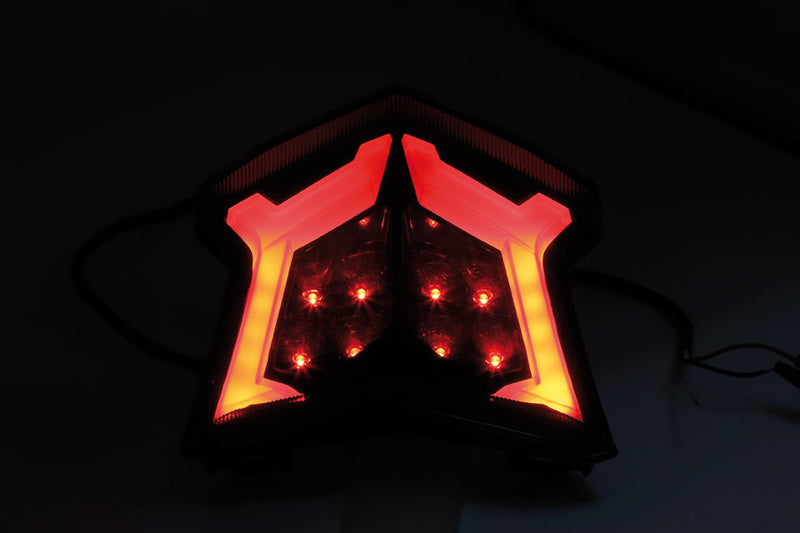 Kawasaki Z H2 [SHIN YO] - LED taillight for Kawasaki, E-tested (1 piece)