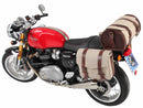 Triumph Thruxton [2016-2024] - C-Bow Seitenträger-5