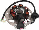 Aprilia RS 125 [NARAKU] – Lichtmaschinen-Stator für Minarelli Horizontal und Vertikal-1