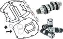 Harley-Davidson FLSTFI 1923 Softail Fat Boy Gray Ghost 117 [2025] - 487 Series Chain Drive Camshaft - Image 1