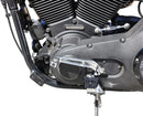 harley davidson sportster s rh 1250 s [THRASHIN SUPPLY CO.] - P-54 shift peg-4