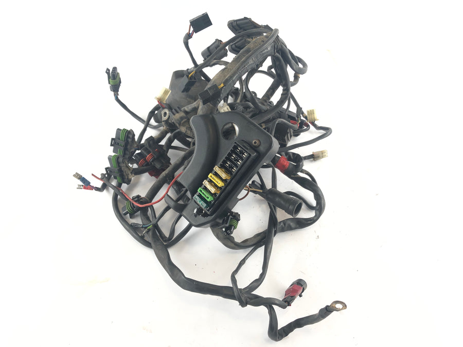 Ducati 900 SS [1992] - Wiring harness