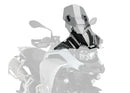 BMW F 900 GS [2025] – touring window with spoiler window – tinted-3