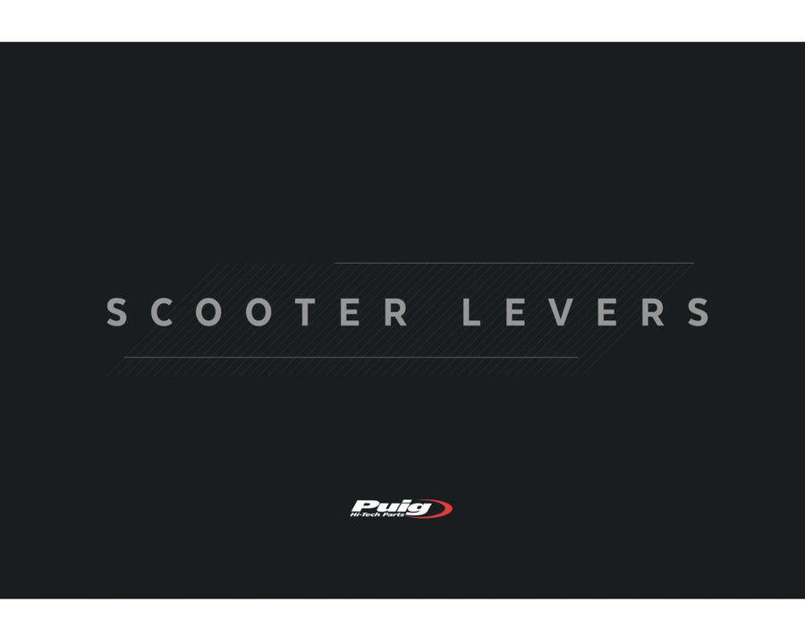 HONDA FORZA 125 [2020] – Moped lever – silver