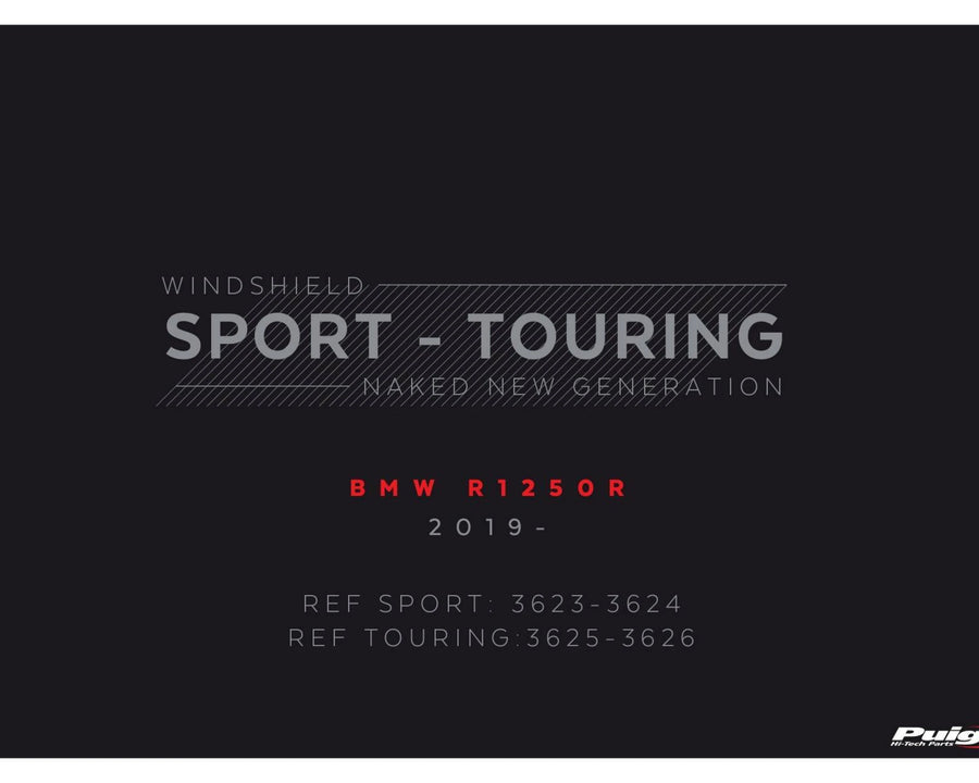 BMW R 1250 R [2025] – New Generation Sport – Getönt