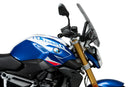 BMW R 1250 R [2025] – New Generation Touring – Transparent-10