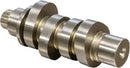 Harley-Davidson FLRT 1868 Freewheeler 114 [2021-2023] - 590C Kettenantrieb-Nockenwellen-Kit – Bild 6