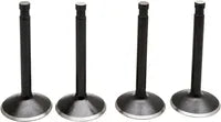 Harley Davidson Flfb [KIBBLEWHITE] – Black Diamond™ Motorventilsatz