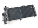 BMW F 650 CS Scarver [2001] - Kühler Wasserkühler-1