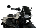 HARLEY DAVIDSON SPORTSTER S RH 1250 S [2024] – Fury – Tinted-28
