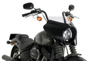 HARLEY DAVIDSON SOFTAIL STREET BOB FXBB [2019] – Mirage – Stark getönt-39