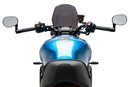 YAMAHA XSR 900 [2025] – New Generation Sport – Tinted-15