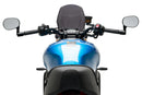 YAMAHA XSR 900 [2025] – New Generation Sport – Tinted-6
