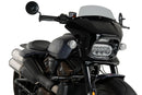HARLEY DAVIDSON SPORTSTER S RH 1250 S [2024] – Fury – Heavily tinted-5