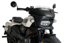 HARLEY DAVIDSON SPORTSTER S RH 1250 S [2024] – Fury – Transparent-43