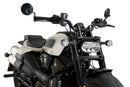 HARLEY DAVIDSON SPORTSTER S RH 1250 S [2024] – Fury – Tinted-27