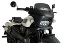 HARLEY DAVIDSON SPORTSTER S RH 1250 S [2024] – Fury – Transparent-48