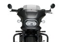 HARLEY DAVIDSON SPORTSTER S RH 1250 S [2024] – Fury – Heavily tinted-13