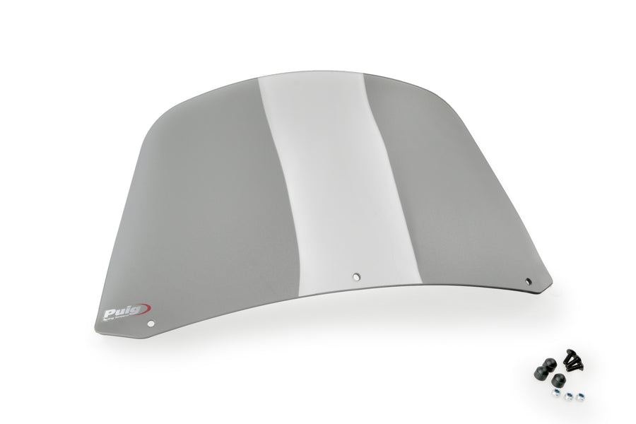 HARLEY DAVIDSON SPORTSTER 883 IRON XL 883 N [2022] – Touring Batwing SML