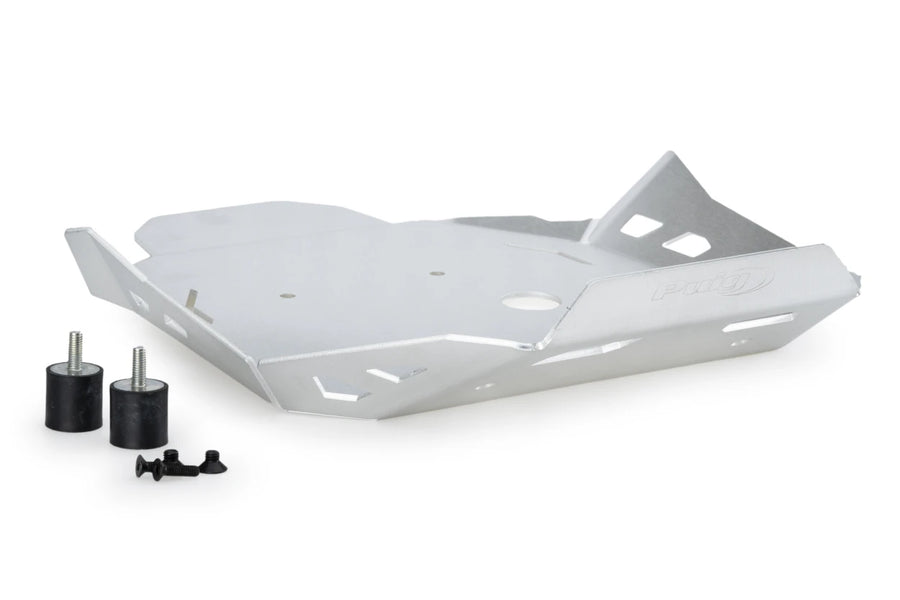 BMW R 1300 GS TROPHY [2025] – Engine Guard – Black
