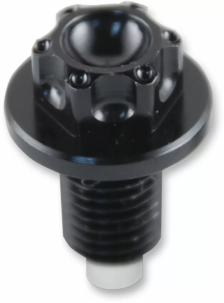 Yamaha XTZ 660 [PSR] – Magnetische Ölablassschraube