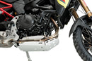 BMW F 900 GS [2025] – Motor Schutz – Silber-37