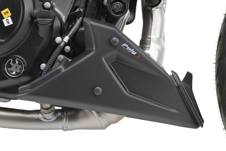 KTM 125 DUKE [2025] – Bugspoiler – Carbon look