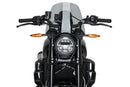 INDIAN FTR 1200 SPORT [2025] – New Generation Sport – Transparent-3