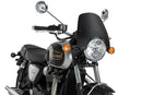 TRIUMPH BONNEVILLE T 120 BLACK [2025] – Bemshebelschutz – Schwarz-10