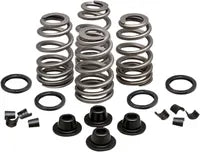 Daytona 660 [KIBBLEWHITE] – Beehive Valve™ Ventilfeder-Kit