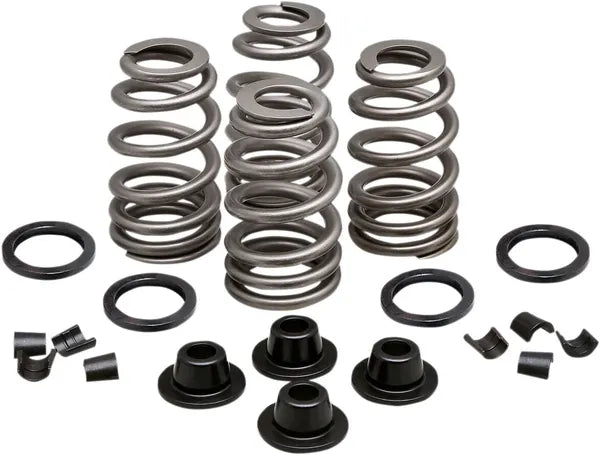 Daytona 660 [KIBBLEWHITE] – Beehive Valve™ Ventilfeder-Kit