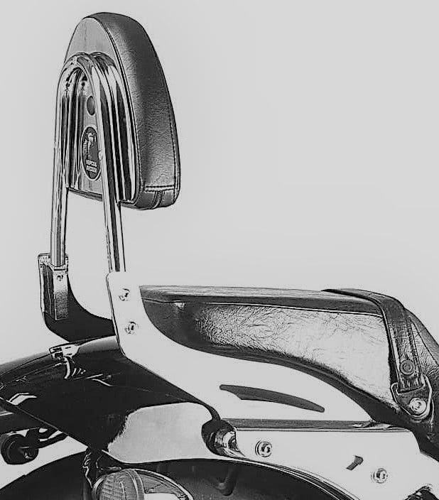 Honda VT 750 D2 Black Wido [2001-2003] - Sissybar ohne Gepäckbrücke