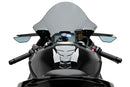 BMW S 1000 RR [2025] – R-Racer windscreen – heavily tinted-3
