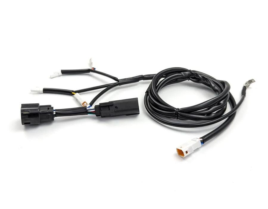 Ducati DesertX [DENALI] – P&P Dialdim Kabel-Adapter